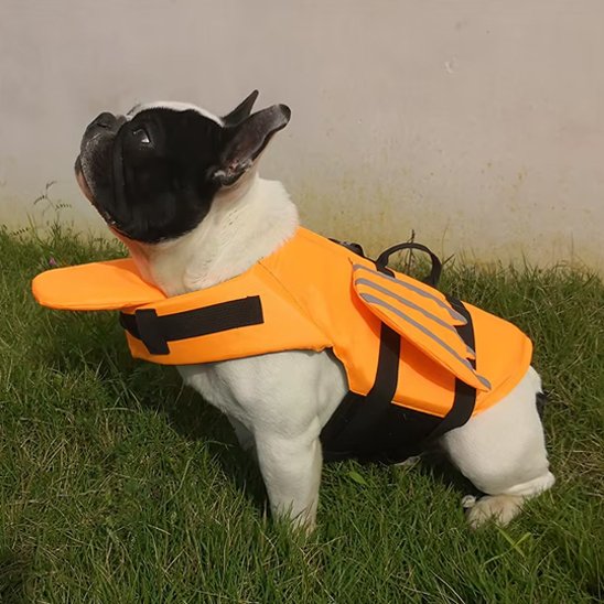 chien gilet de sauvetage flottant confortable