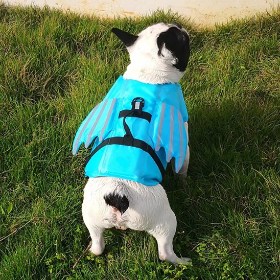 chien gilet de sauvetage pour natation
