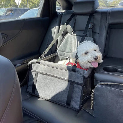 chien heureux dans siege auto pour chien