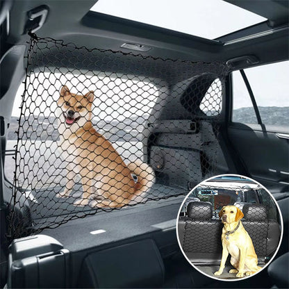 chien isole dans coffre avec filet pour chien voiture
