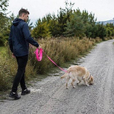 chien longe éducation canine extérieur