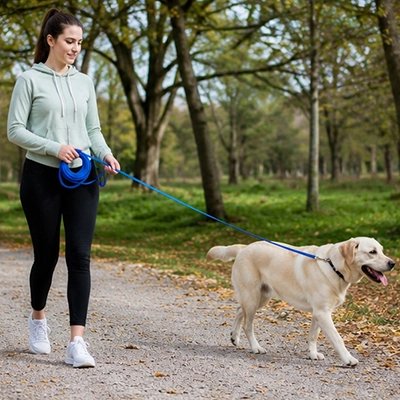 chien longe promenade sécurisée extérieur