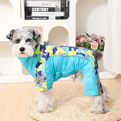 chien manteau confortable pour extérieur