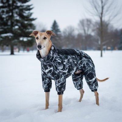 chien manteau premium hiver extérieur
