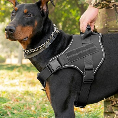 chien retenu avec chien harnais
