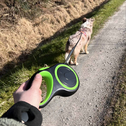 chien retenu avec laisse pour chien enrouleur