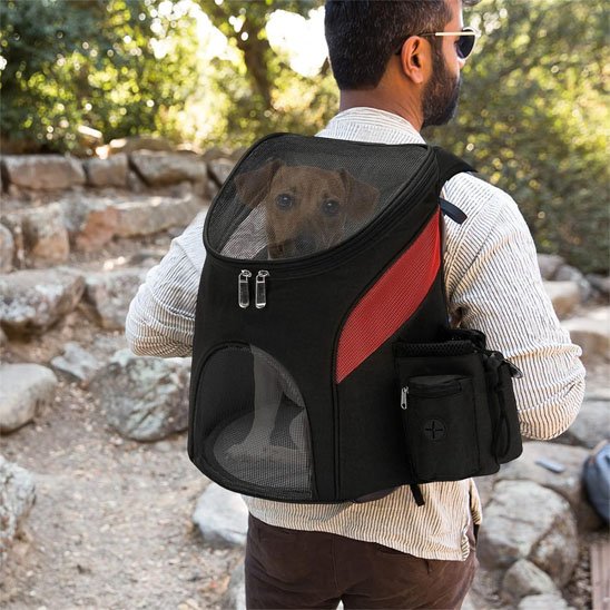 chien sac a dos petit chien voyage