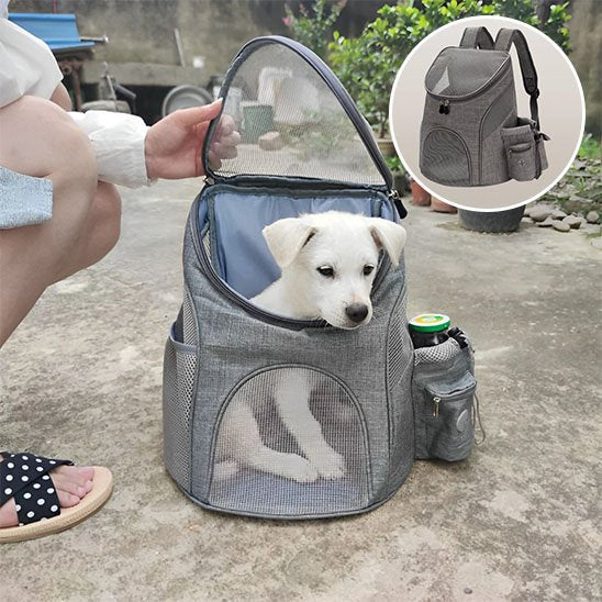 chien sac a dos portable animal compagnie