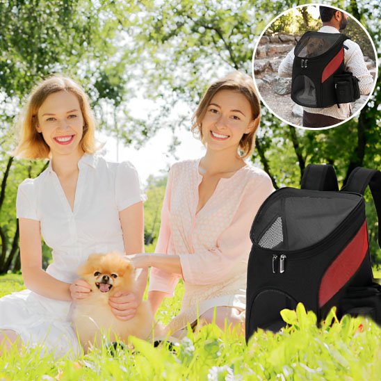 chien sac a dos randonnée pratique extérieur