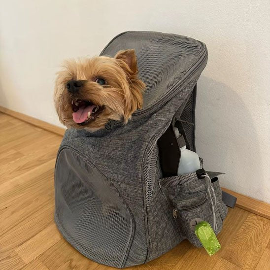 chien sac a dos transport animal respirant