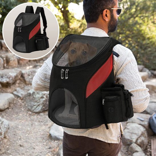 chien sac a dos transport confortable promenade