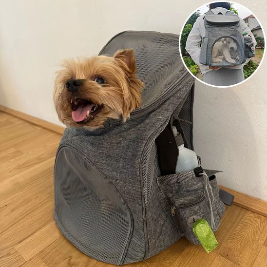 chien sac a dos transport sécurisé respirant