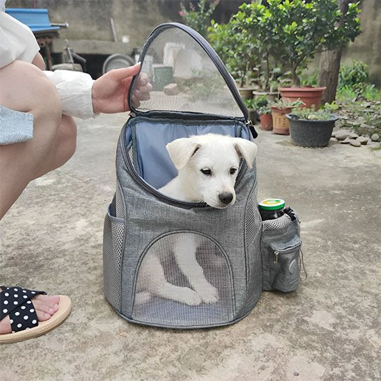 chien sac a dos usage quotidien confortable