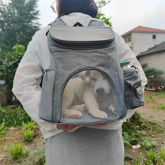 chien sac a dos ventilation confort quotidien