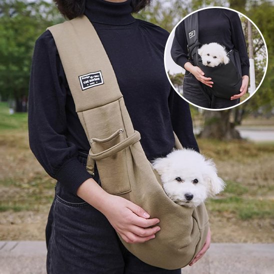 chien sac transport petit chien voyage