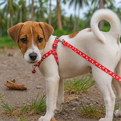 chiot avec laisse pour chien rouge