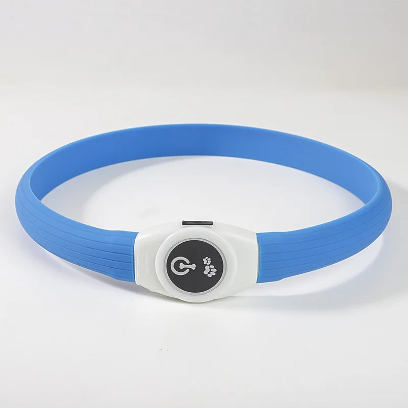 Collier chien lumineux | Rechargeable USB