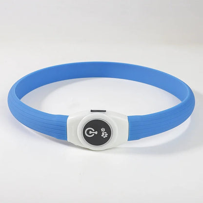 Collier chien lumineux | Rechargeable USB