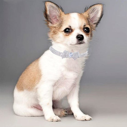 collier chien ajustable confort quotidien 
