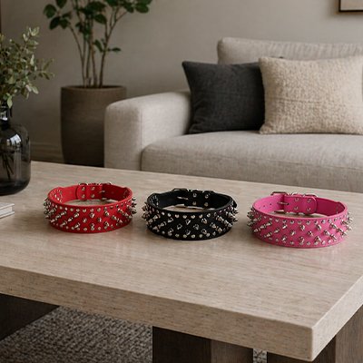 collier chien cuir ajustable confort