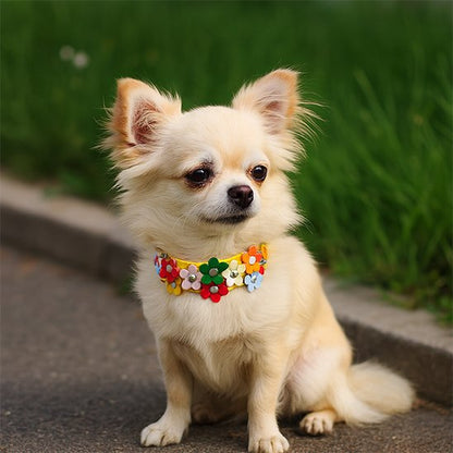 collier chien cuir confort sécurité