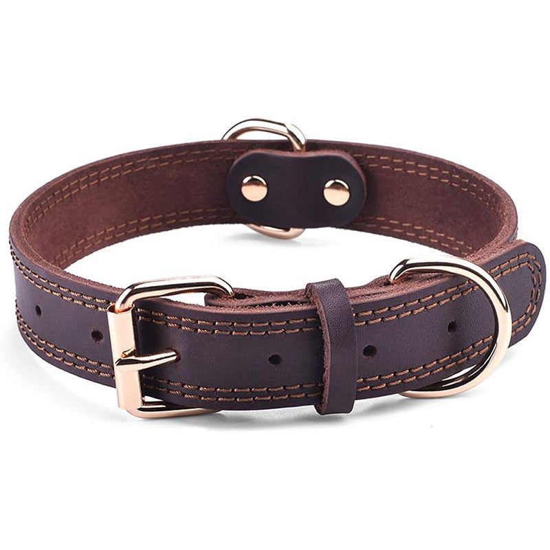 Collier chien cuir | Résistant Premium