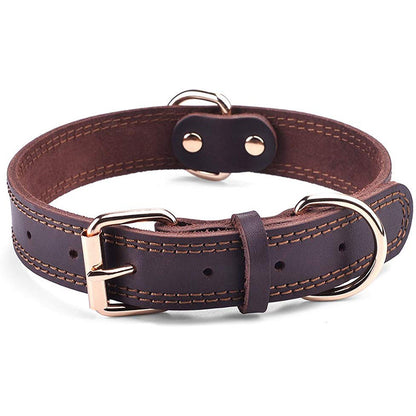 Collier chien cuir | Résistant Premium
