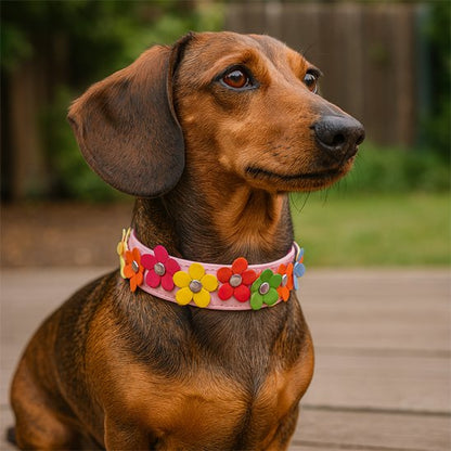 collier chien cuir résistant pratique