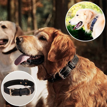 collier chien cuir solide boucle métal