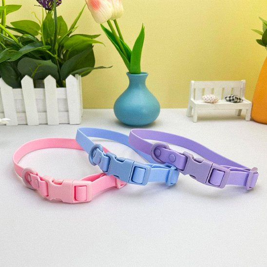 collier chien différentes couleurs