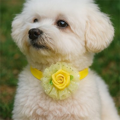 collier chien tissu doux confort