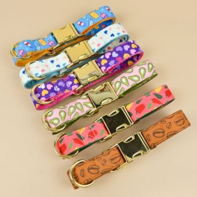 collier chiot pratique quotidien