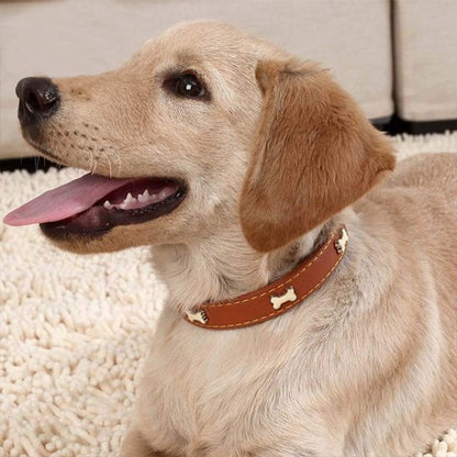 collier cuir chien ajustable confort 