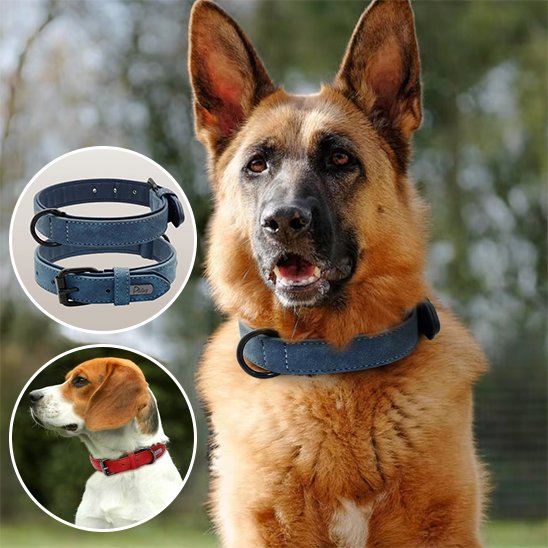 collier cuir chien artisanal cuir véritable