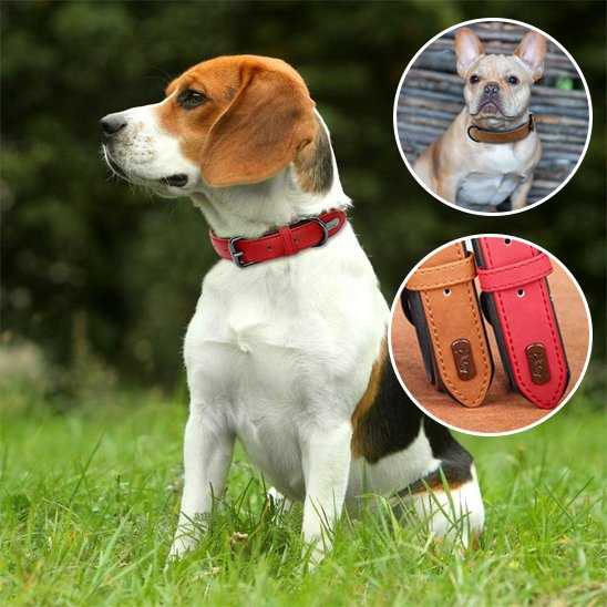 collier cuir chien design classique intemporel