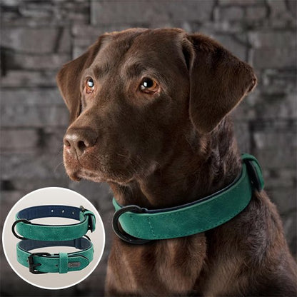 collier cuir chien élégant finition premium