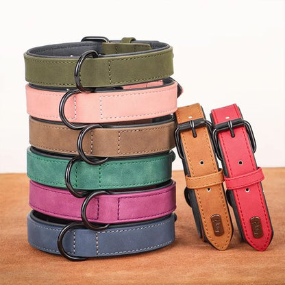 collier cuir chien style premium