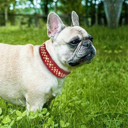 collier en cuir pour chien cuir véritable durable