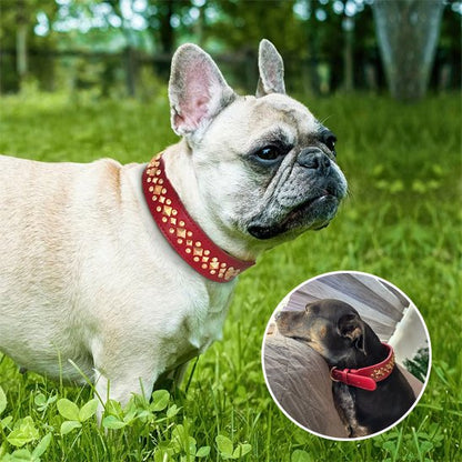 collier en cuir pour chien finition soignée premium