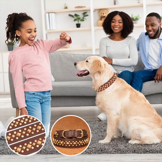 collier en cuir pour chien qualité artisanale supérieure
