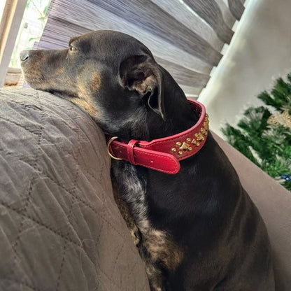 collier en cuir pour chien style classique intemporel