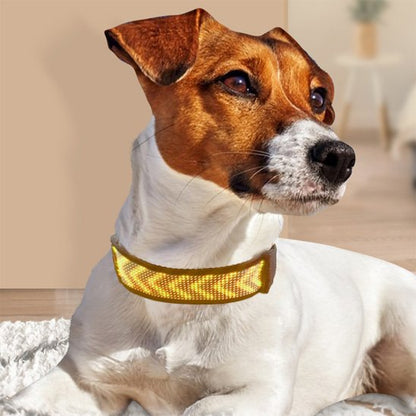 collier lumineux chien éclairage puissant led