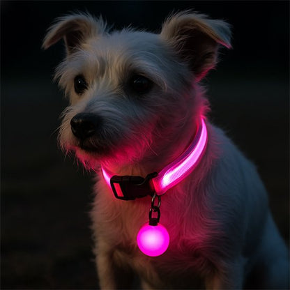 collier lumineux pour chien éclairage puissant