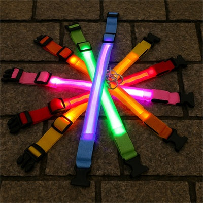 collier lumineux pour chien rechargeable led nuit