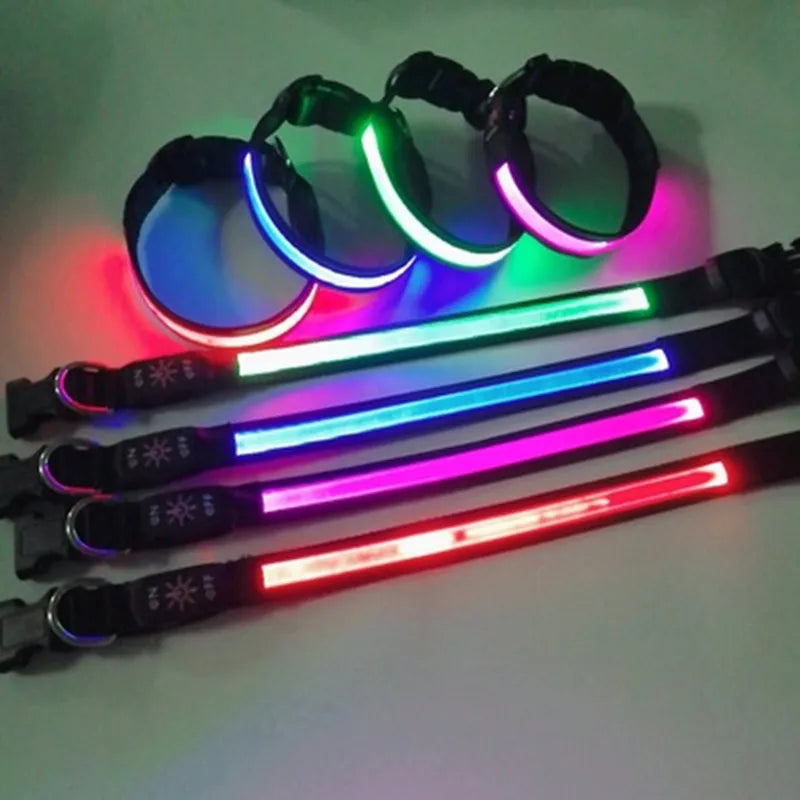 collier lumineux pour chien rechargeable usb balade de nuit
