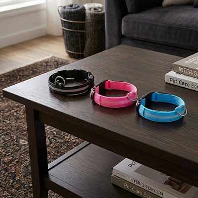 collier lumineux pour chien sécurité nuit