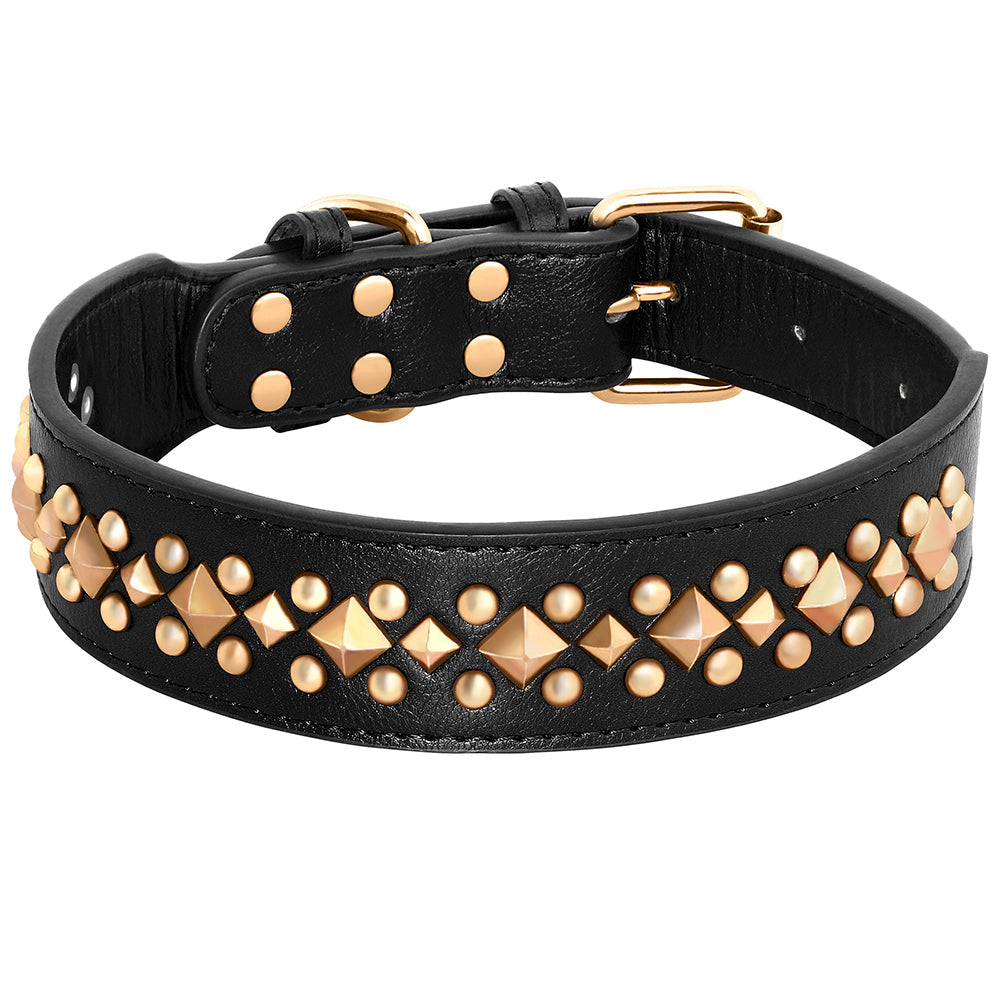 Collier en cuir pour chien | Résistant et Confortable
