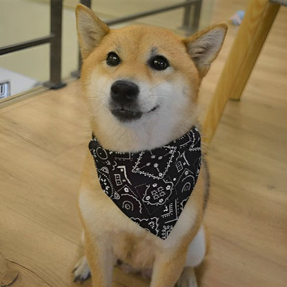 collier pour chien accessoire chien tendance