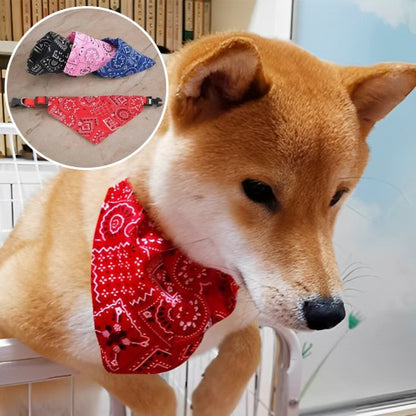collier pour chien ajustable confortable