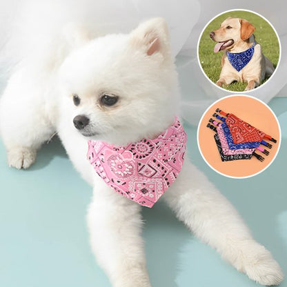 collier pour chien ajustement facile